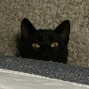 basics1#7334's avatar