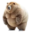 chopsueyiscool