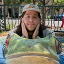 yspfroggod