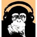 sonosfuer