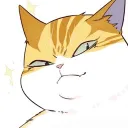 inductive_cat