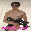 wessel_osu2