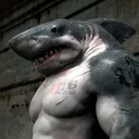 sharkman62