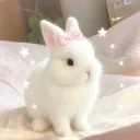 pewdelia