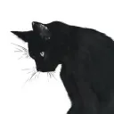 zekatsu