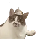 alerdene