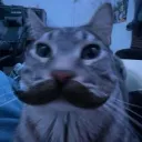 _duncan_