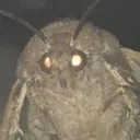 baronofthecosmos