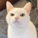 ew0ne