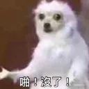 dongdongleetony