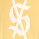 ydslexic
