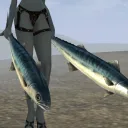 fishincan