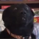 hydratedmanu