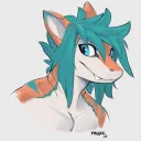 colinshark