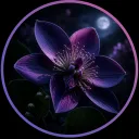 elflyn