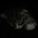 avatar vendi