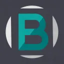 blyzer
