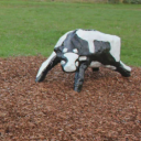 avatar luvdrinkingwater