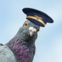 snax_des_avions