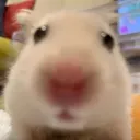 capslocker