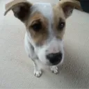 bandit__