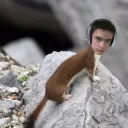 vitalvox