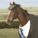 mrhorselord