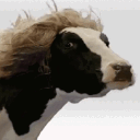 anmagicalcow