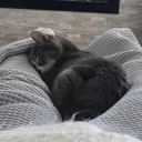 miname88#3986's avatar