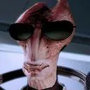 hekothedolphin