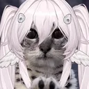 gummyshiratori
