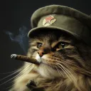 chrisrokz