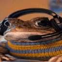 merijn