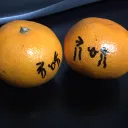 shin_oji
