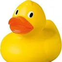 bobsquddle