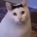 m8ofm8s#1258's avatar