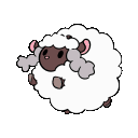 shaun1e