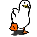 pfp