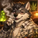 coldbrewwolf