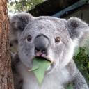 angryvincent's Avatar