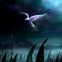 bluefeuer