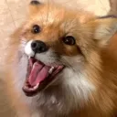 skuny