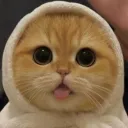 eleirkelly