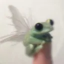 manil0vefrogs