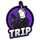 trip13nipp13
