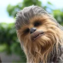 frchewbie