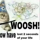 h_1848