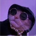 _swtt