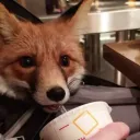 vexyfoxy