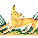 kallistocat